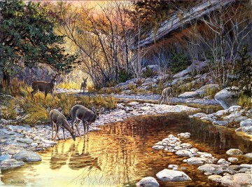 動物 Painting - 小川で飲むオジロ